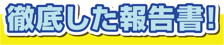 徹底した報告書